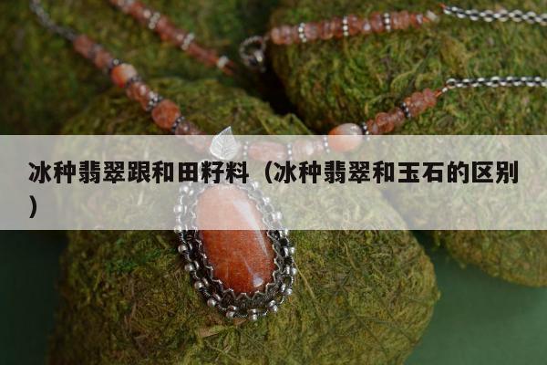 冰种翡翠跟和田籽料（冰种翡翠和玉石的区别）