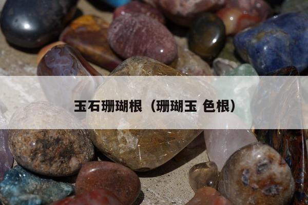 玉石珊瑚根（珊瑚玉 色根）