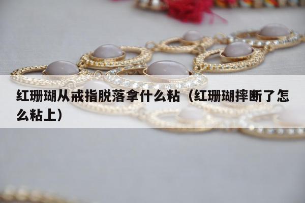 红珊瑚从戒指脱落拿什么粘（红珊瑚摔断了怎么粘上）