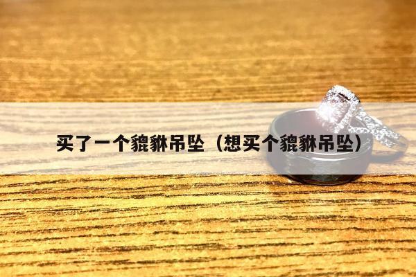 买了一个貔貅吊坠（想买个貔貅吊坠）