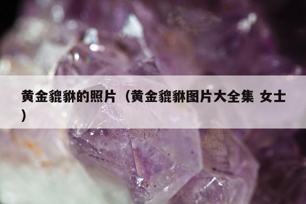 黄金貔貅的照片（黄金貔貅图片大全集 女士）