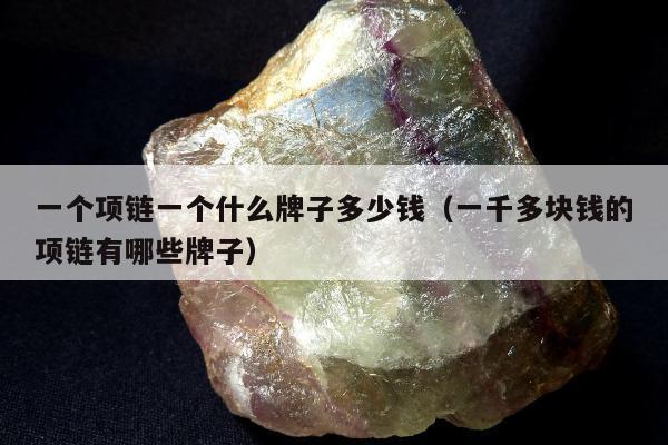 一个项链一个什么牌子多少钱（一千多块钱的项链有哪些牌子）