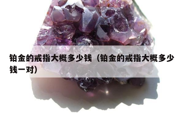 铂金的戒指大概多少钱（铂金的戒指大概多少钱一对）