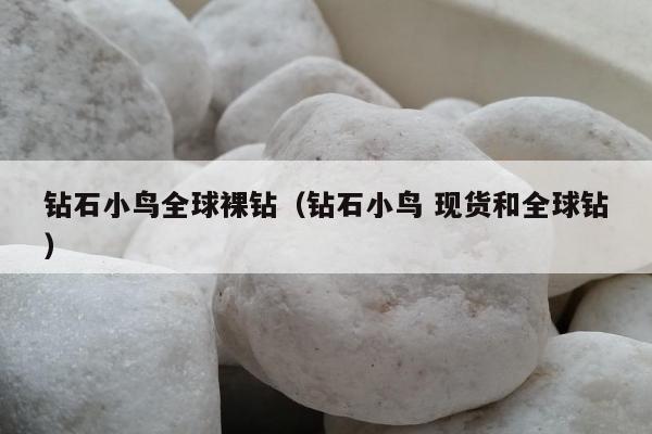 钻石小鸟全球裸钻（钻石小鸟 现货和全球钻）