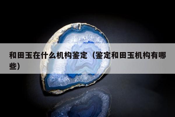 和田玉在什么机构鉴定（鉴定和田玉机构有哪些）