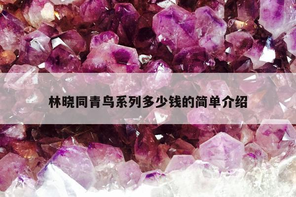 林晓同青鸟系列多少钱的简单介绍