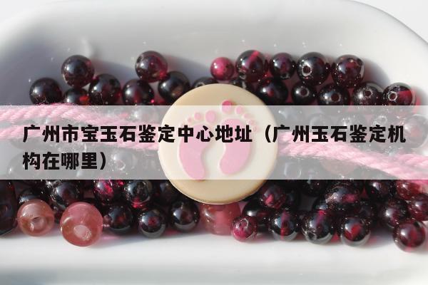 广州市宝玉石鉴定中心地址（广州玉石鉴定机构在哪里）