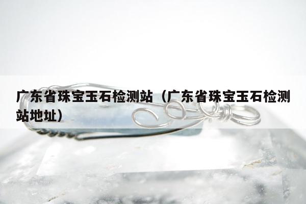 广东省珠宝玉石检测站（广东省珠宝玉石检测站地址）