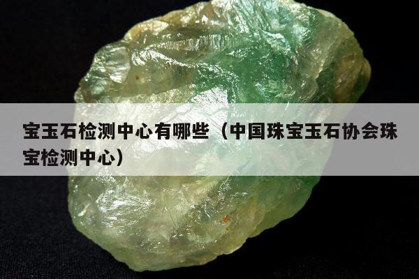 宝玉石检测中心有哪些（中国珠宝玉石协会珠宝检测中心）