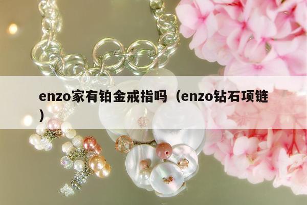 enzo家有铂金戒指吗（enzo钻石项链）