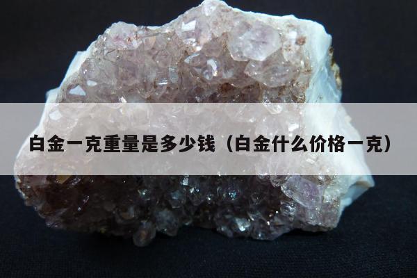 白金一克重量是多少钱（白金什么价格一克）