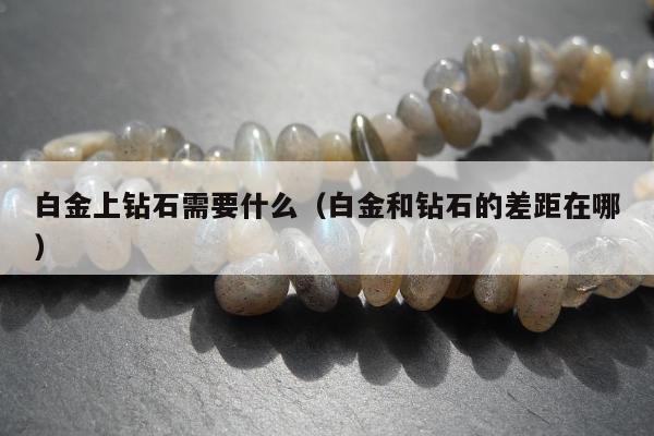 白金上钻石需要什么（白金和钻石的差距在哪）