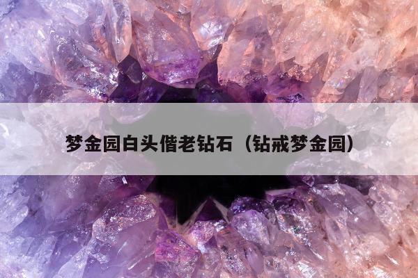 梦金园白头偕老钻石（钻戒梦金园）