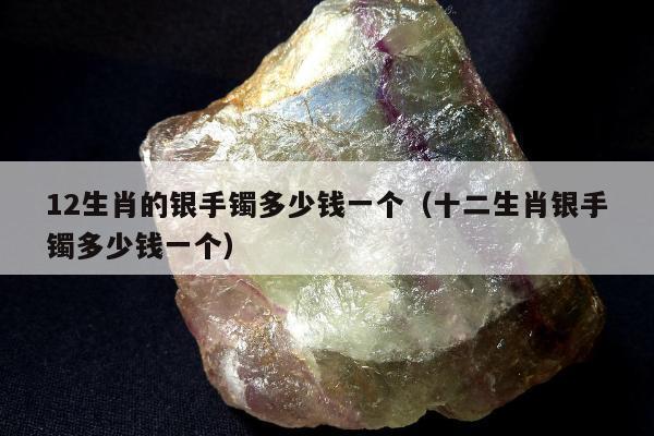 2生肖的银手镯多少钱一个（十二生肖银手镯多少钱一个）"