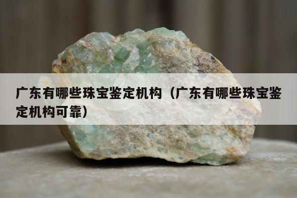 广东有哪些珠宝鉴定机构（广东有哪些珠宝鉴定机构可靠）