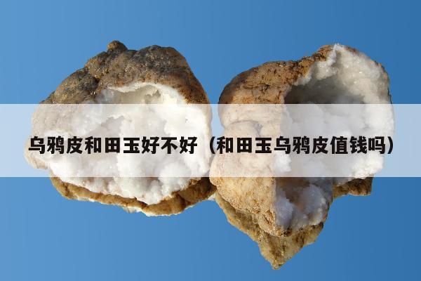 乌鸦皮和田玉好不好（和田玉乌鸦皮值钱吗）
