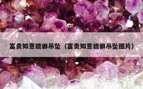 富贵如意貔貅吊坠（富贵如意貔貅吊坠图片）