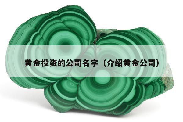 黄金投资的公司名字（介绍黄金公司）