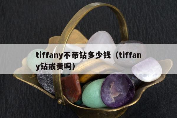 tiffany不带钻多少钱（tiffany钻戒贵吗）