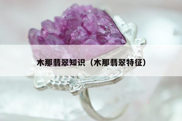 木那翡翠知识（木那翡翠特征）