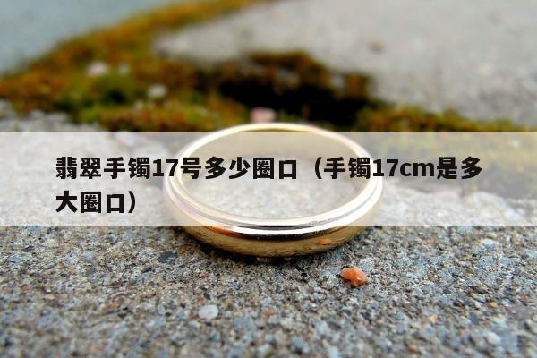 翡翠手镯17号多少圈口（手镯17cm是多大圈口）