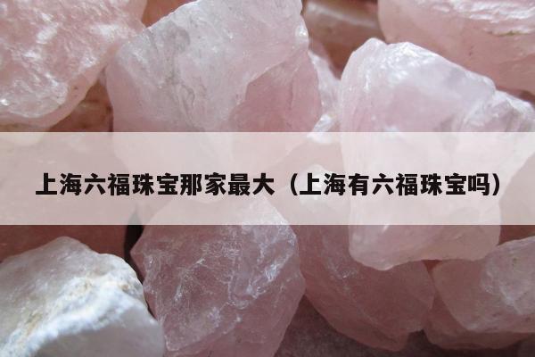 上海六福珠宝那家最大（上海有六福珠宝吗）