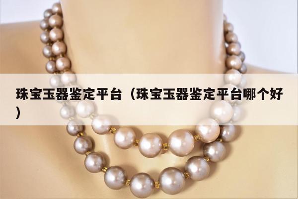 珠宝玉器鉴定平台（珠宝玉器鉴定平台哪个好）