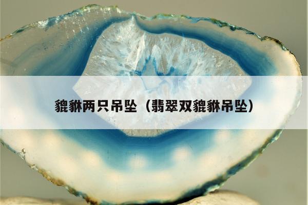 貔貅两只吊坠（翡翠双貔貅吊坠）