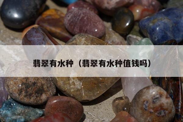 翡翠有水种（翡翠有水种值钱吗）