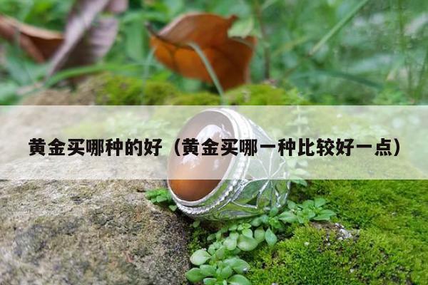 黄金买哪种的好（黄金买哪一种比较好一点）