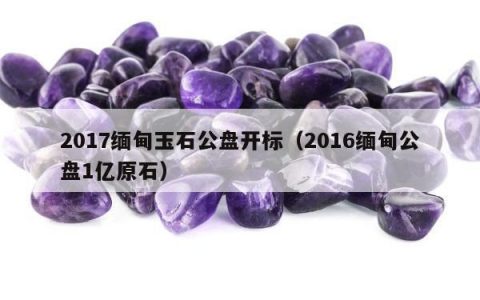 2017缅甸玉石公盘开标（2016缅甸公盘1亿原石）