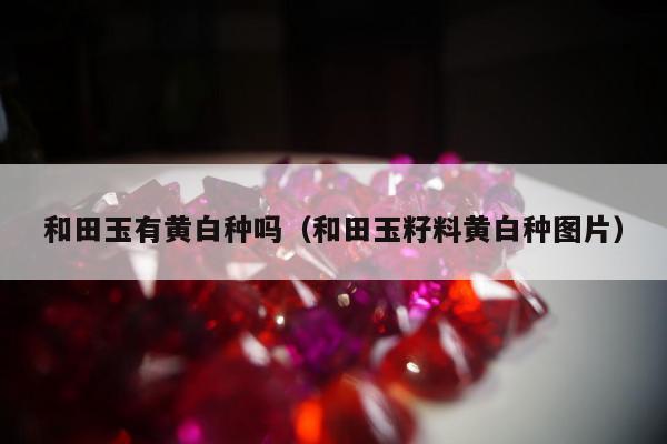 和田玉有黄白种吗（和田玉籽料黄白种图片）