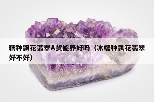 糯种飘花翡翠A货能养好吗（冰糯种飘花翡翠好不好）