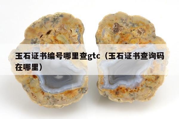 玉石证书编号哪里查gtc（玉石证书查询码在哪里）