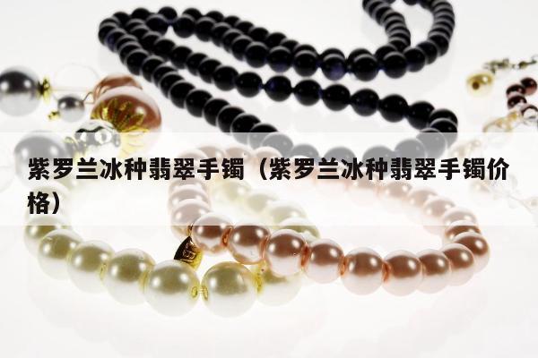紫罗兰冰种翡翠手镯（紫罗兰冰种翡翠手镯价格）