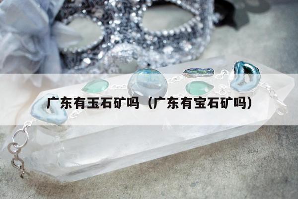 广东有玉石矿吗（广东有宝石矿吗）
