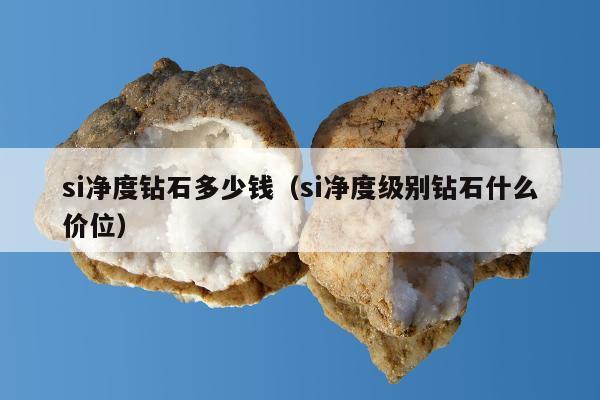 si净度钻石多少钱（si净度级别钻石什么价位）