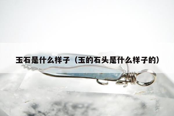 玉石是什么样子（玉的石头是什么样子的）