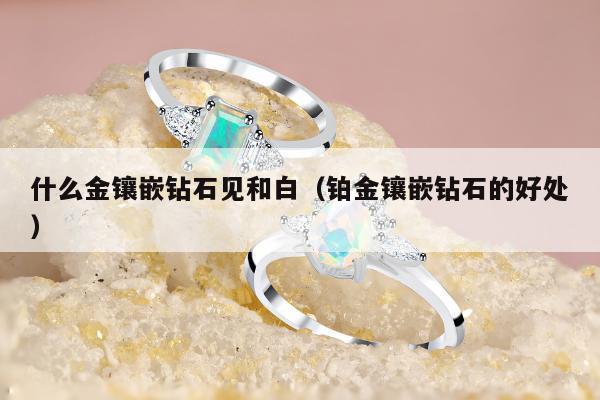 什么金镶嵌钻石见和白（铂金镶嵌钻石的好处）