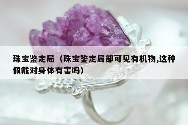 珠宝鉴定局（珠宝鉴定局部可见有机物,这种佩戴对身体有害吗）