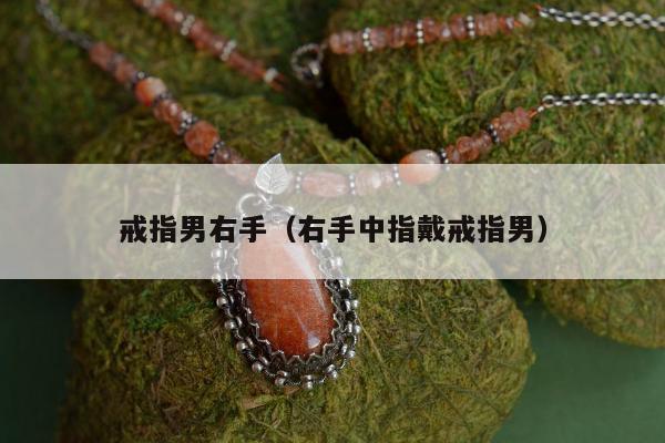 戒指男右手（右手中指戴戒指男）