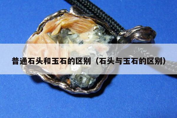 普通石头和玉石的区别（石头与玉石的区别）