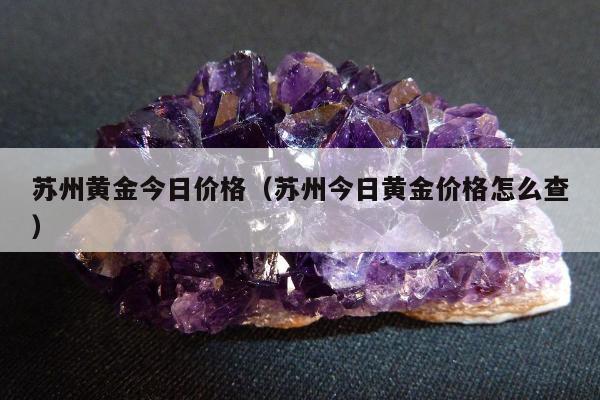 苏州黄金今日价格（苏州今日黄金价格怎么查）