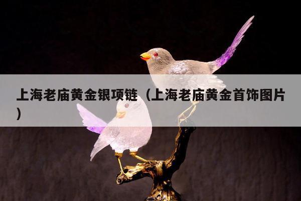 上海老庙黄金银项链（上海老庙黄金首饰图片）