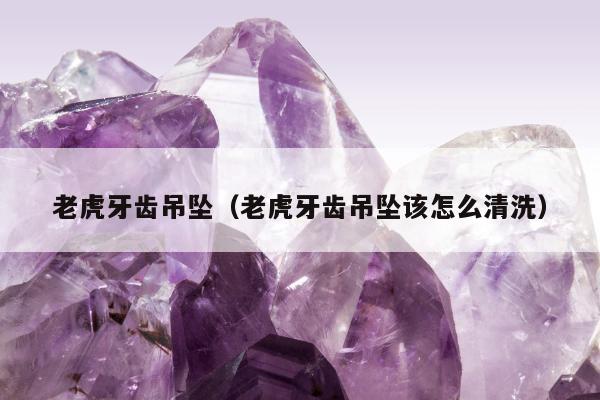 老虎牙齿吊坠（老虎牙齿吊坠该怎么清洗）