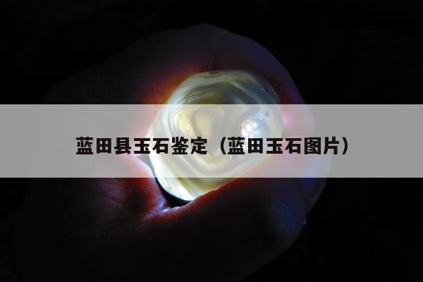 蓝田县玉石鉴定（蓝田玉石图片）