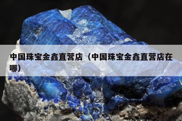 中国珠宝金鑫直营店（中国珠宝金鑫直营店在哪）