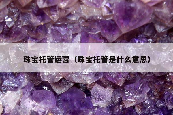 珠宝托管运营（珠宝托管是什么意思）