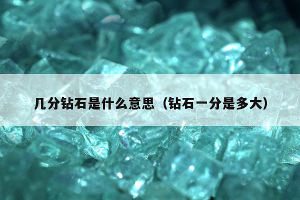 几分钻石是什么意思（钻石一分是多大）