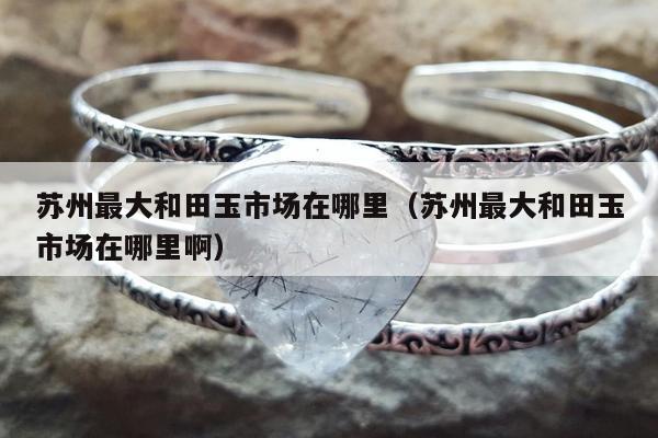 苏州最大和田玉市场在哪里（苏州最大和田玉市场在哪里啊）